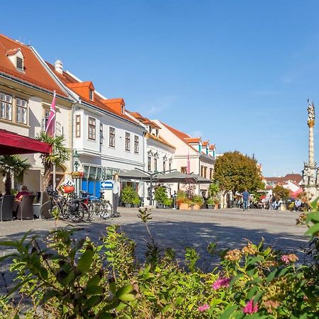 St Antoni Suite2 Stilvolle Ferienwohnung Mit Parkplatz In 艾森斯塔特 外观 照片
